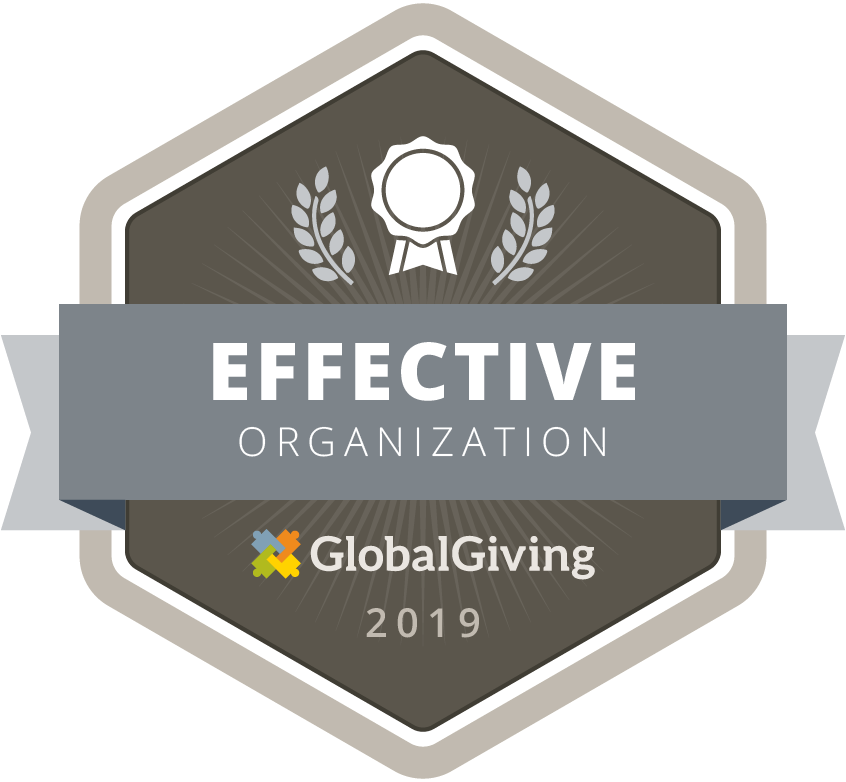 GlobalGiving Effective Organization 2019