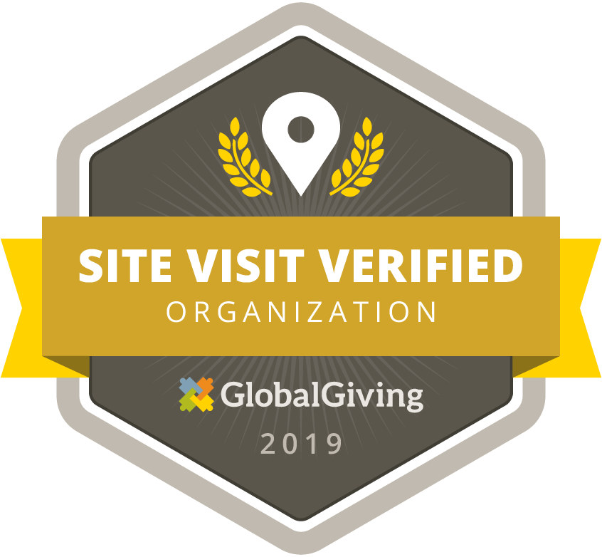 GlobalGiving Site-Visited Organization 2019